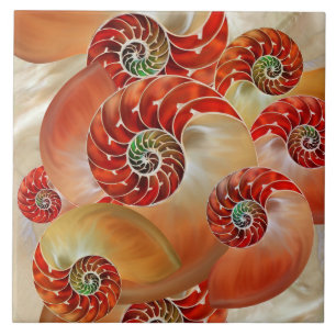 Nautilus Shells Tile