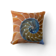 Nautilus Spirals