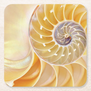 Nautilus Square Paper Coaster