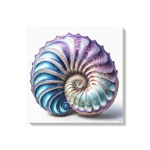 Nautilus - Wrapped Canvas Art Print