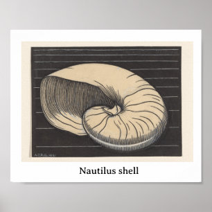 Nautilusschelp (1921) by Julie de Graag Poster