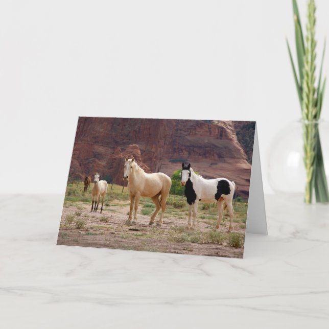 Navajo Horses Run Free on the Canyon Floor Card (Front)
