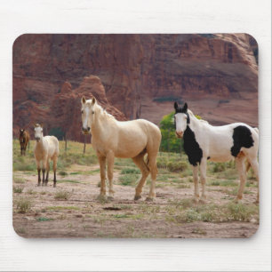 Navajo Horses Run Free on the Canyon Floor Mouse Mat