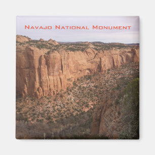 Navajo National Monument Magnet