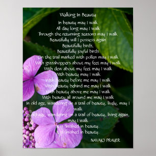 Navajo Prayer Walk in Beauty Poster