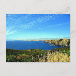 Navax Point, Cornwall UK Postcard