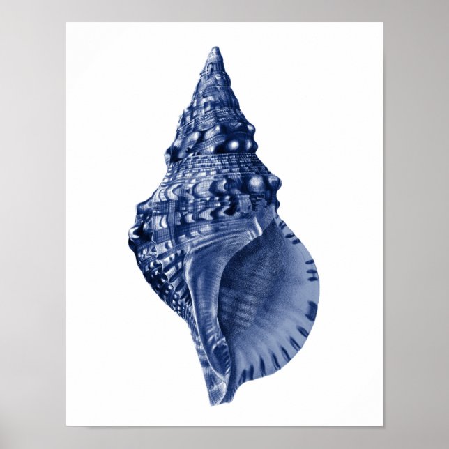 Navy Beach Decor Seashell Art  (Front)