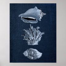 Navy Beach Decor Seashell Print no. 10