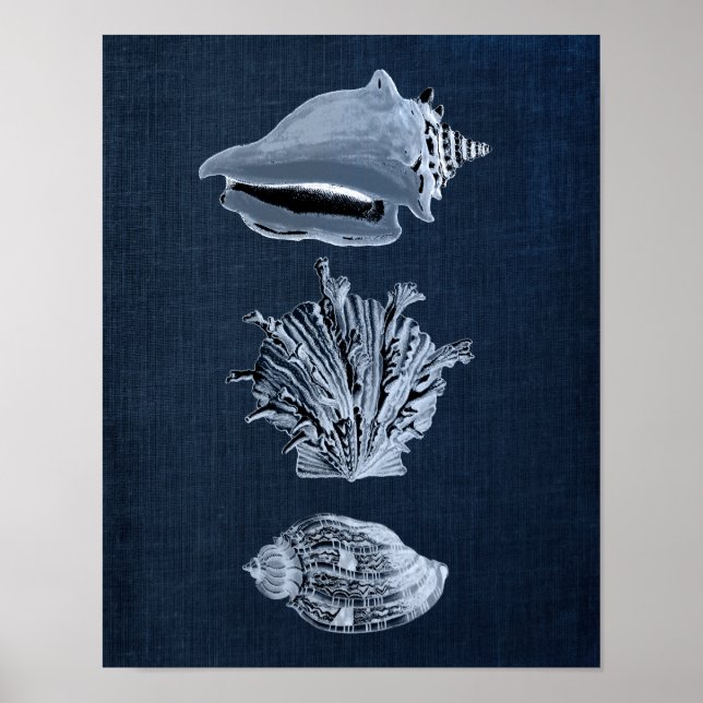 Navy Beach Decor Seashell Print no. 10 (Front)