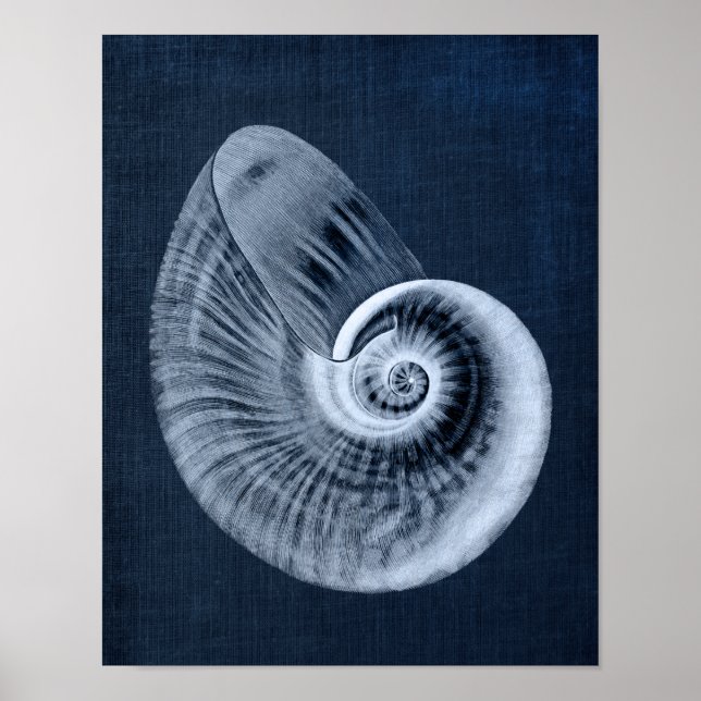 Navy Blue Beach Decor Seashell Art Print no. 11 (Front)