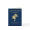 Navy Blue Gold Palm Tree Bahamas Wedding Passport