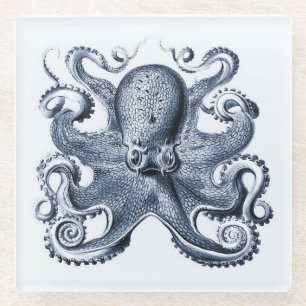 Navy Blue Octopus illustration by Ernst Haeckel Glass Coaster