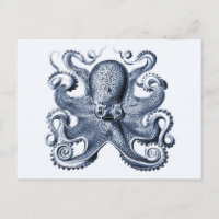 Navy Blue Octopus illustration by Ernst Haeckel