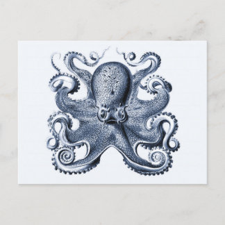 Navy Blue Octopus illustration by Ernst Haeckel Postcard