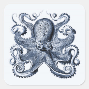 Navy Blue Octopus illustration by Ernst Haeckel Square Sticker