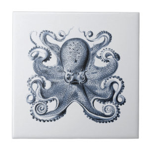 Navy Blue Octopus illustration by Ernst Haeckel Tile
