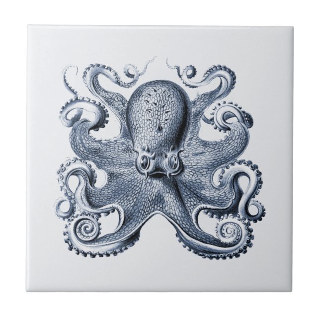 Navy Blue Octopus illustration by Ernst Haeckel Tile (Front)