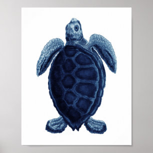Navy Blue Sea Turtle Beach Bathroom Decor