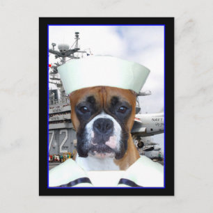 Navy Sailor Boxer Dog Postcard