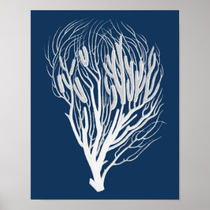 Navy Sea Coral #7 Beach Decor Wall Art