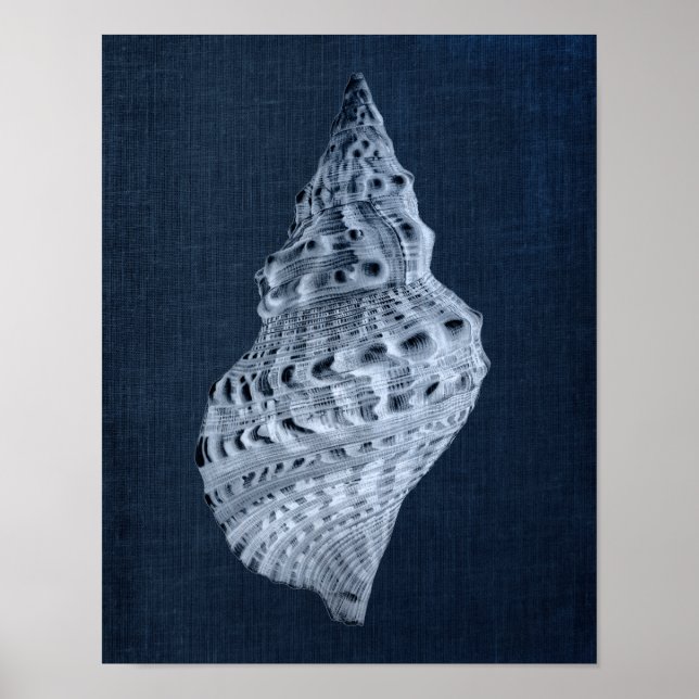 Navy Seashells Print no. 1 Beach Decor Wall Art (Front)