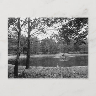 Nay Aug Park Scranton Pa. Postcard