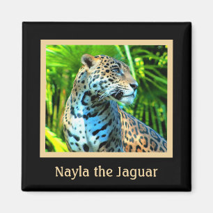 Nayla the Jaguar Magnet