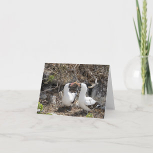 Nazca Bird Friendship Greeting Card