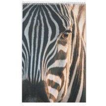 ncounters in Africa's Wild Kingdom, 2024 Calendar,