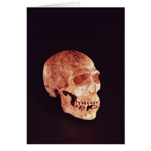 Neanderthal Skull, discovered on Mt Carmel