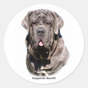 Neapolitan Mastiff Classic Round Sticker