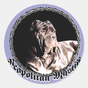 Neapolitan mastiff sticker