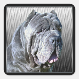 Neapolitan Mastiff Sticker