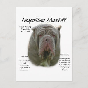 Neapolitan Mastiff (tawny) History Design Postcard