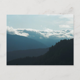 Near Falls Creek Falls Washington postcard