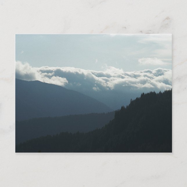 Near Falls Creek Falls Washington postcard (Front)