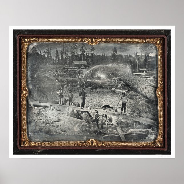 Near Nevada City, 1852 by Joseph Blaney Starkweath Poster (Front)