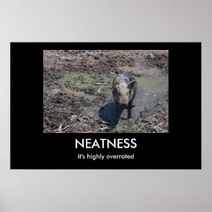NEATNESS POSTER