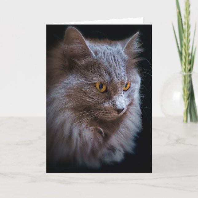 Nebelung Long-Haired Russian Blue Cat Portrait  Card (Front)