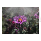 Nebraska City October 2015