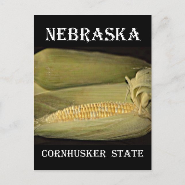 Nebraska Cornhusker State Postcard (Front)