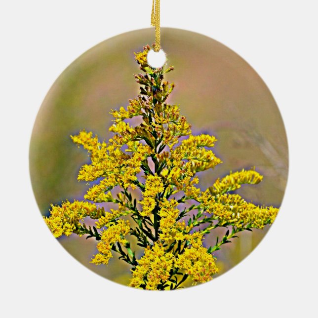 Nebraska Goldenrod Ceramic Tree Decoration (Back)