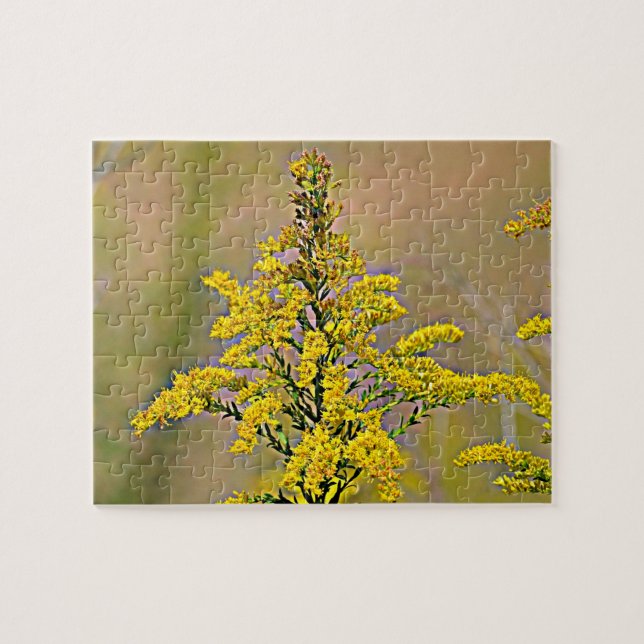 Nebraska Goldenrod Jigsaw Puzzle (Horizontal)