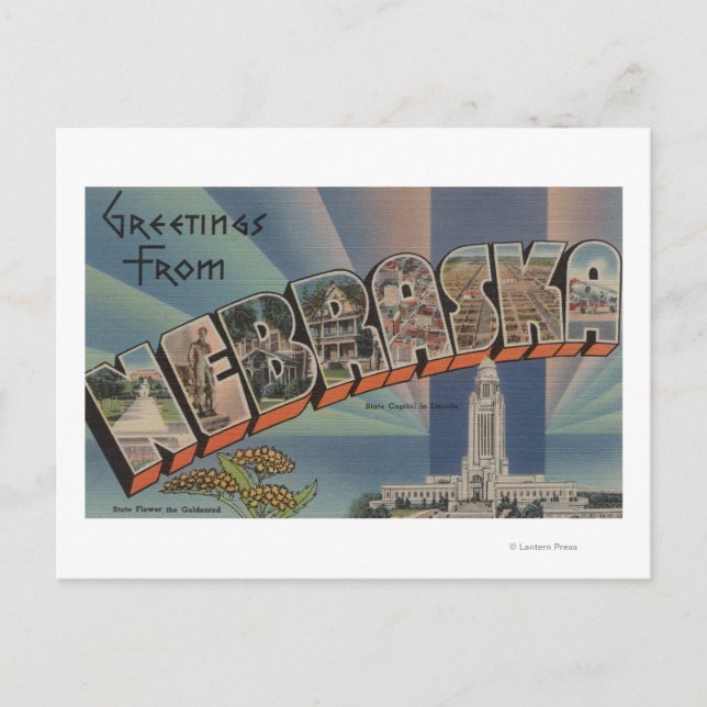 Nebraska (State Capital/Flower) Postcard (Front)