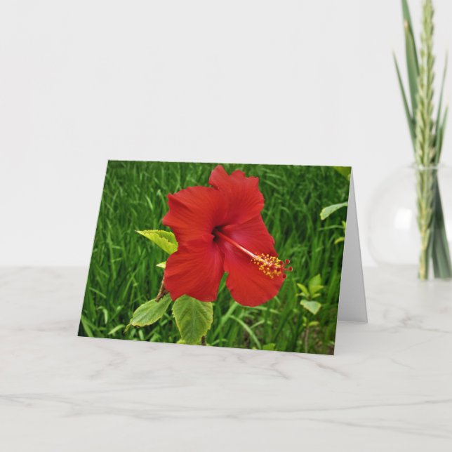 "Nebraskan Hibiscus" Easter Card (Front)