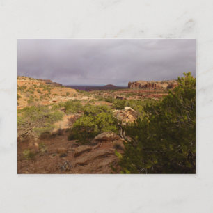 Neck Springs Trail at Canyonlands National Park Postcard
