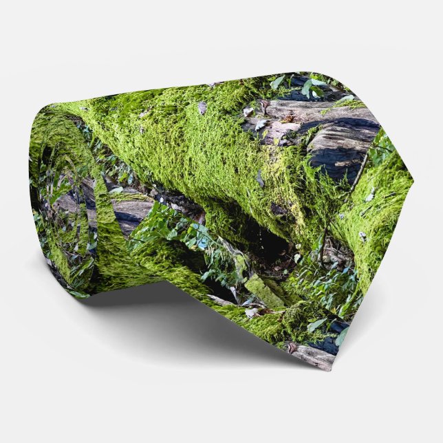 Neck tie / mossy log (Rolled)