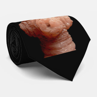 Neck Tie -Spirometra erinaceieuropaei tapeworm