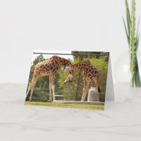 necking card