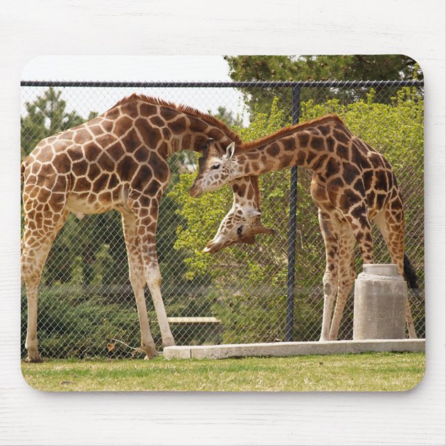 necking giraffes mouse mat (Front)